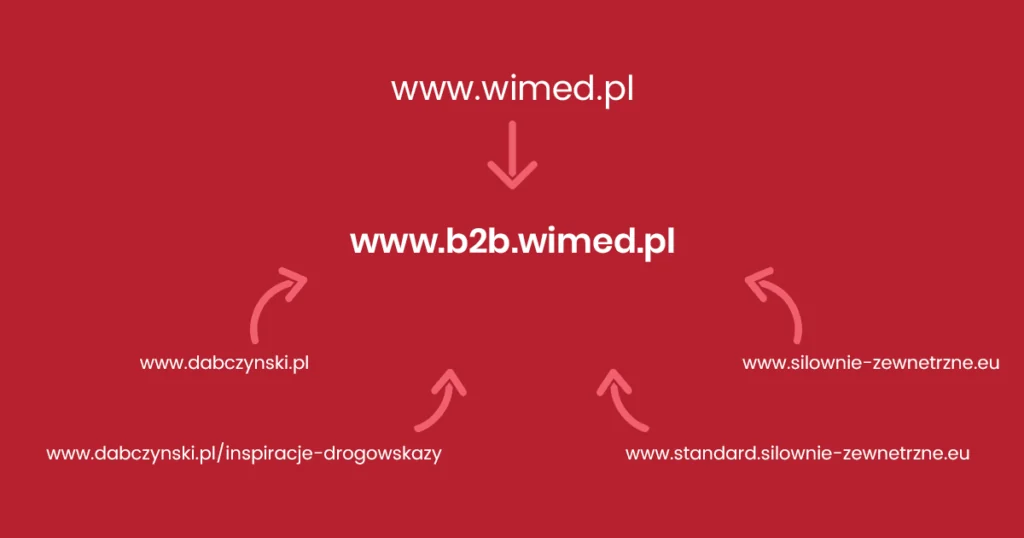 WIMED — schemat ekosystemu sprzedaży połączonego z platformą B2B